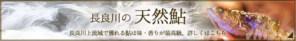 【長良川の天然鮎】長良川上流域で獲れる鮎は味・香りが最高級。詳しくはこちら